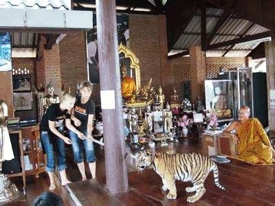 Templo del Tigre Tailandia 03